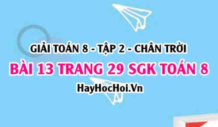 Bài 13 trang 29 Toán 8 Tập 2 Chân trời sáng tạo